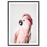 Art Prints Unique Pink Cockatoo Printed Wall Art