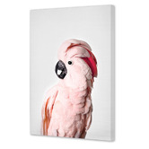 Art Prints Unique Pink Cockatoo Printed Wall Art