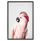 Art Prints Unique Pink Cockatoo Printed Wall Art
