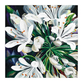 Art Prints Unique White Agapantha Printed Wall Art