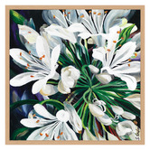 Art Prints Unique White Agapantha Printed Wall Art
