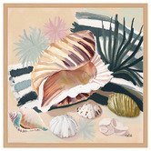 Art Prints Unique Sea Shell Grass Canvas Wall Art