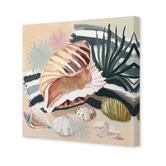 Art Prints Unique Sea Shell Grass Canvas Wall Art