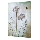 Art Prints Unique Allium Canvas Wall Art
