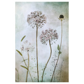 Art Prints Unique Allium Canvas Wall Art