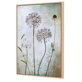 Art Prints Unique Allium Canvas Wall Art
