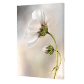Art Prints Unique Heavenly Cosmos Canvas Wall Art