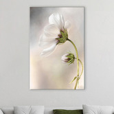 Art Prints Unique Heavenly Cosmos Canvas Wall Art