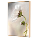 Art Prints Unique Heavenly Cosmos Canvas Wall Art
