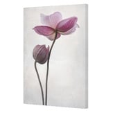 Art Prints Unique A Little Touch Canvas Wall Art