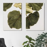 Art Prints Unique 2 Piece Leaf Vein Canvas Wall Art Set