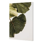 Art Prints Unique 2 Piece Leaf Vein Canvas Wall Art Set