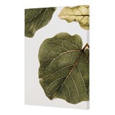 Art Prints Unique 2 Piece Leaf Vein Canvas Wall Art Set