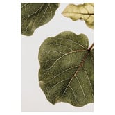 Art Prints Unique 2 Piece Leaf Vein Canvas Wall Art Set