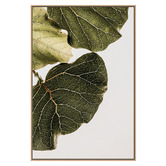 Art Prints Unique 2 Piece Leaf Vein Canvas Wall Art Set