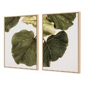 Art Prints Unique 2 Piece Leaf Vein Canvas Wall Art Set