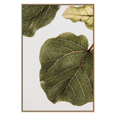 Art Prints Unique 2 Piece Leaf Vein Canvas Wall Art Set