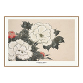 Art Prints Unique Flowers from Momoyogusa Canvas Wall Art