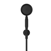 Tiago Tapware Constance Hand-held Shower