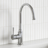 Tiago Tapware Constance Brass Gooseneck Kitchen Mixer