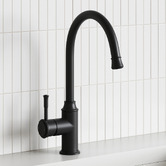 Tiago Tapware Constance Brass Gooseneck Kitchen Mixer