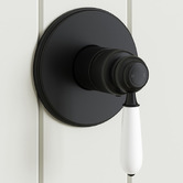 Tiago Tapware Clementine Brass Shower Mixer