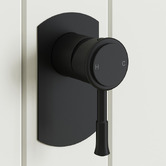 Tiago Tapware Constance Brass Shower Mixer