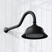 Tiago Tapware Clementine 210mm Shower Arm &amp; Head