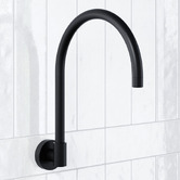 Tiago Tapware Aries 210mm Brass Gooseneck Bath Wall Spout