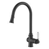 Tiago Tapware Clementine Pull-Out Kitchen Mixer