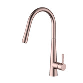 Tiago Tapware Amari Pull-Out Kitchen Sink Mixer