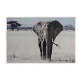 Indigo Studio Savannah Plains Framed Canvas Wall Art