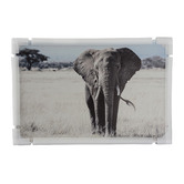 Indigo Studio Savannah Plains Framed Canvas Wall Art