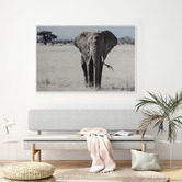 Indigo Studio Savannah Plains Framed Canvas Wall Art