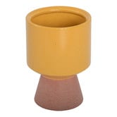 Indigo Studio 16cm Mustard Jarrah Ceramic Vase