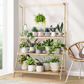 Living Fusion Felicia 3 Tier Foldable Plant Stand