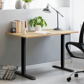 Living Fusion 63cm Osiris Single Motor Sit &amp; Stand Frame with USB &amp; Type-C Port