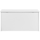 Living Fusion Kids' Atlas Toy Storage Box