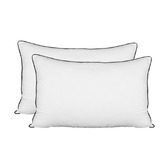 Living Fusion Eva Standard Pillows
