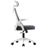 Living Fusion Argo Mesh Office Chair