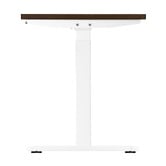 Living Fusion Alwyn IV 140cm Dual Motor Electric Sit &amp; Stand Desk