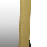 Living Fusion Amber Aluminium Floor Mirror