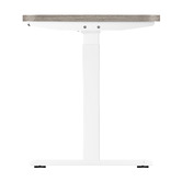 Living Fusion Alwyn IV 140cm Dual Motor Electric Sit &amp; Stand Desk