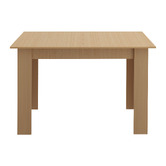 Living Fusion Olov Extendable Dining Table