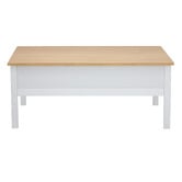 Living Fusion Norris Coffee Table