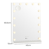 Living Fusion Abbe LED Make-Up Mirror with Bluetooth