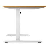 Living Fusion Fintorp Single Motor Electric Sit &amp; Stand Desk