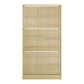 Living Fusion Montana 3 Door Shoe Cabinet
