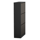Living Fusion Montana 3 Door Shoe Cabinet