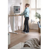 Living Fusion Sienna Single Motor Electric Sit &amp; Stand Desk